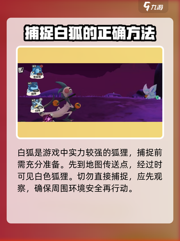 洛克王国手游白狐怎么抓介绍截图2