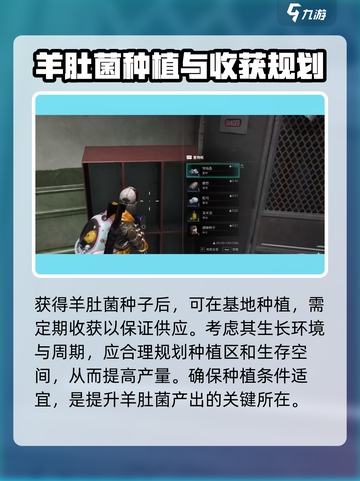 七日世界羊肚菌有什么用介绍截图4
