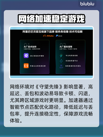 🎮守望先锋闪退？用加速器秒解决！💥截图2
