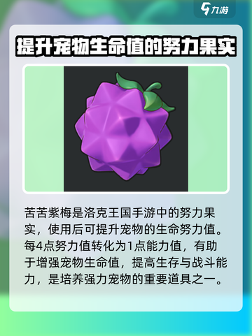 洛克王国手游道具有哪些介绍截图7