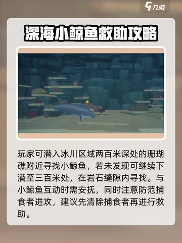 潜水员戴夫小鲸鱼在哪介绍截图3