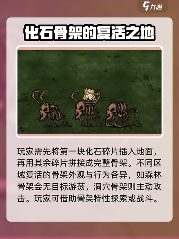 饥荒联机版🔥化石碎片大揭秘！💡截图3