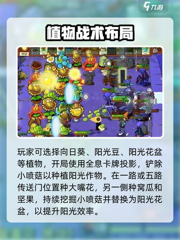 《植物大战僵尸》金盏花王通关秘籍💥截图4