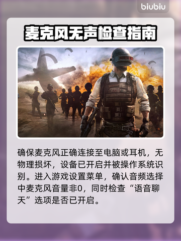 PUBG按T不开麦？❌解决方法来了！🔥截图3