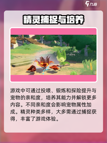 洛克王国💥亲和度快速提升攻略来啦！截图4