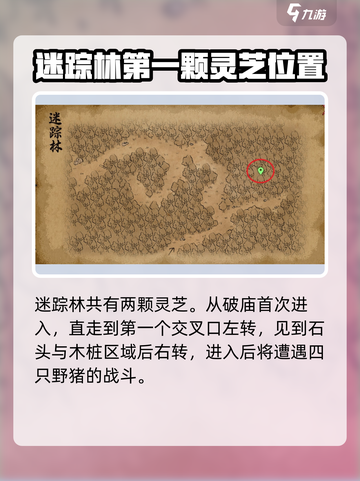 大侠立志传迷踪林灵芝在哪介绍截图2