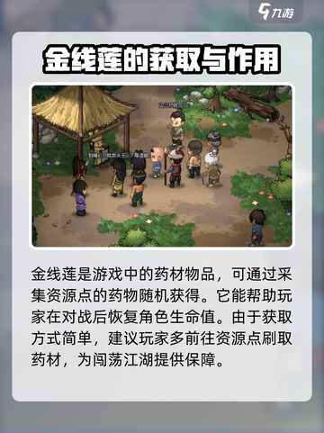 大侠立志传🔥金线莲获取攻略💎截图2