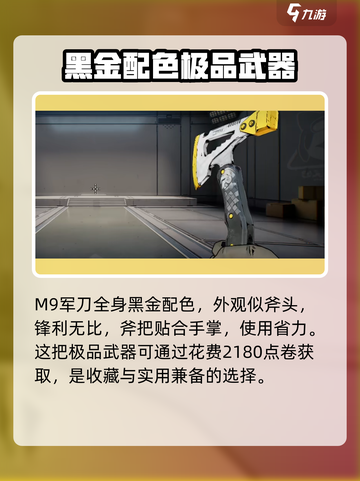 王牌战士💥2M9军刀使用攻略，助你轻松吃鸡！🔥截图2