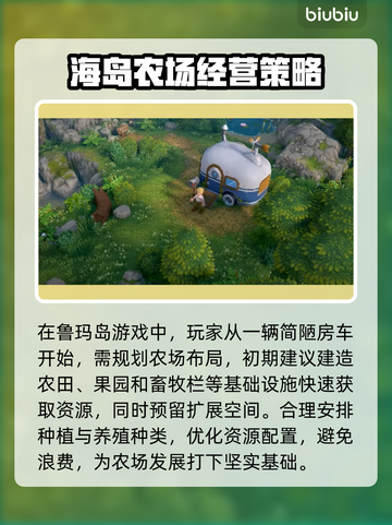 鲁玛岛🔥入门必看！超全玩法攻略🎉截图2