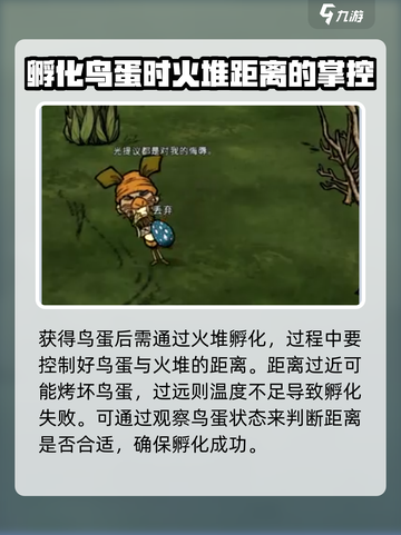 饥荒联机版高脚鸟蛋怎么孵化介绍截图3