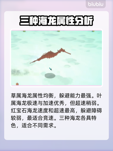 潜水员戴夫海马竞速🔥挑海马全攻略🎉截图4