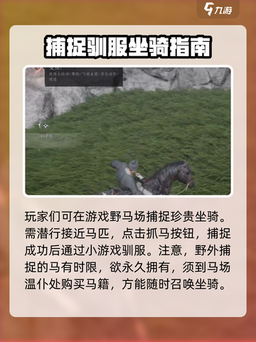 燕云十六声🔥坐骑大全，游戏玩家必看！截图2