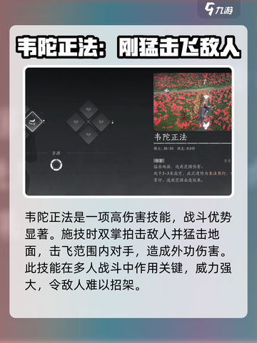 燕云十六声韦陀正法获取攻略介绍截图5