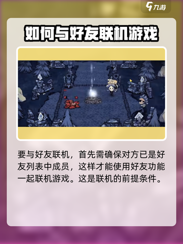饥荒新家园手机怎么联机介绍截图4