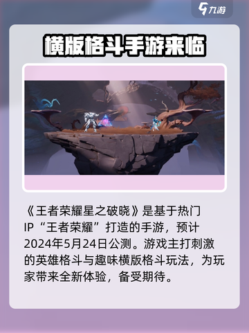 王者荣耀🔥星之破晓开发商竟是它！💡惊呆玩家截图2
