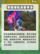 七日世界熔炉怎么做介绍截图5