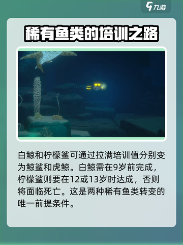 潜水员戴夫gyao怎么养介绍截图4