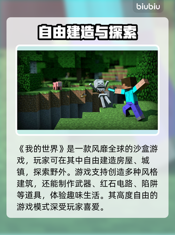 MC掉帧卡顿？这款加速器让你流畅玩🔥截图3