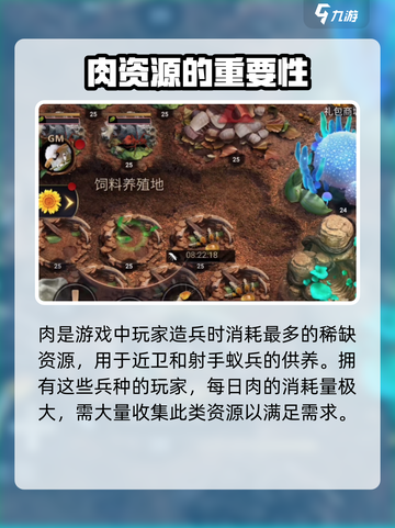 小小蚁国🔥资源大揭秘，关键道具全解析！截图2
