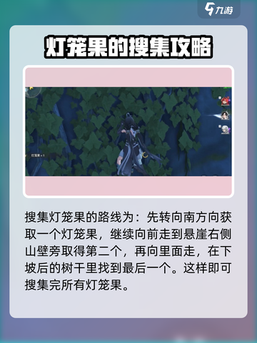 鸣潮灯笼果在哪介绍截图4