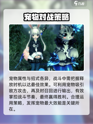 剑灵怀旧服宠物攻略介绍截图5