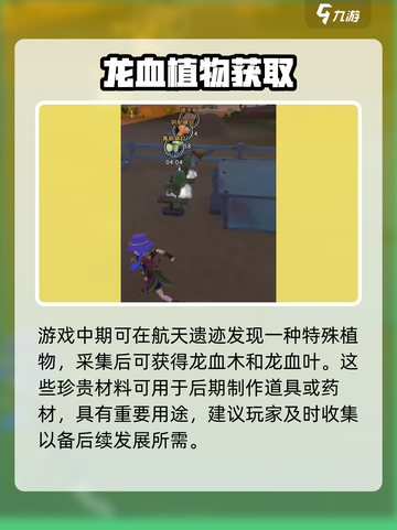 沙石镇时光龙血树获取🔥截图2