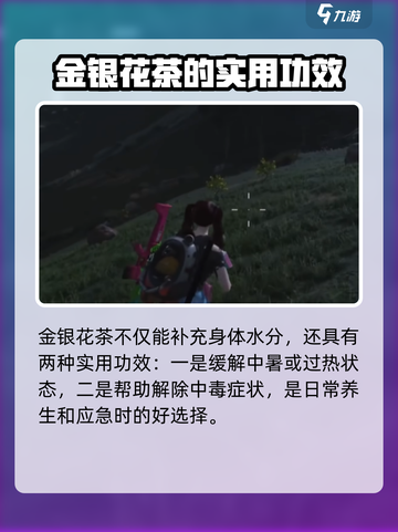 七日世界金银花在哪里介绍截图3