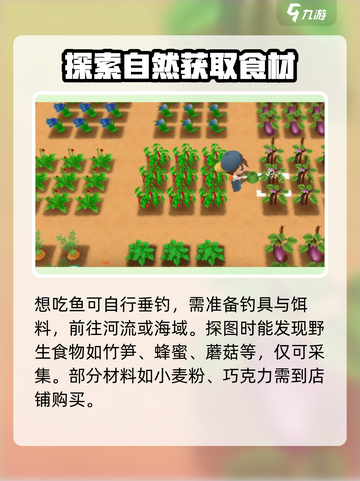 牧场物语重聚矿石镇💡食材存放攻略大全！截图3