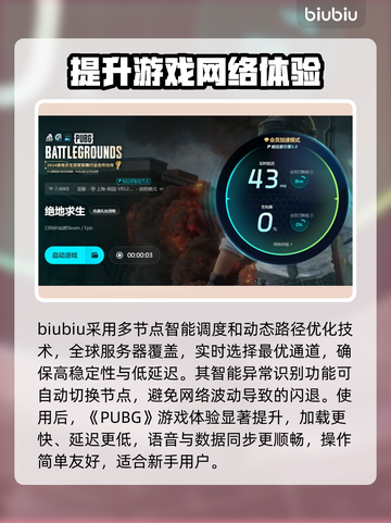 PUBG频繁闪退？❌进游戏就崩！⚡解决办法来了🎉截图4