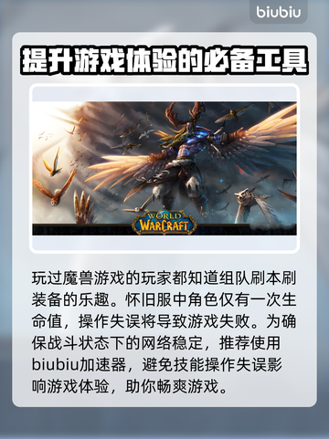 魔兽世界怀旧服卡顿？用这个加速器🔥绝对流畅！🎮截图2