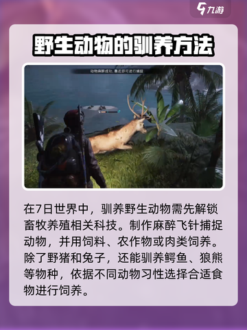 七日世界驯养动物攻略介绍截图2