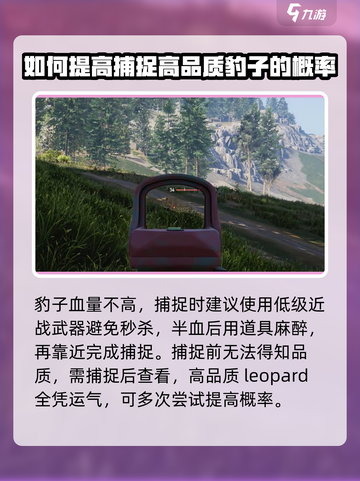 七日世界豹子捕捉教程介绍截图3