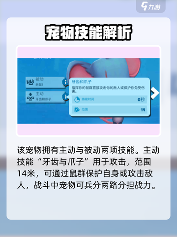 动物王者鲁伊🔥超强玩法攻略来了！💡截图3