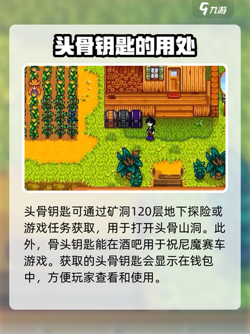 星露谷物语骨头钥匙是什么用的介绍截图4