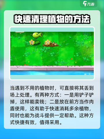 植物大战僵尸抽卡版卡槽怎么清空介绍截图3