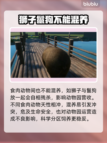 动物园之星：这些动物居然可以混养！🐾截图5