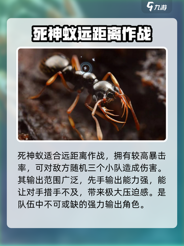 小小蚁国最强蚂蚁排行🔥助你称霸游戏🔥截图4