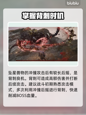 艾尔登法环黑夜君临坠星兽打法分享💥🔥截图3