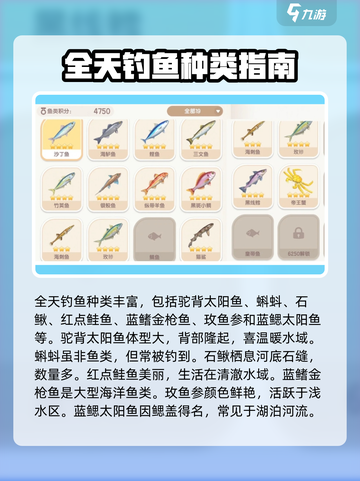 心动小镇🔥必看！鱼图鉴大全来袭🐟截图3