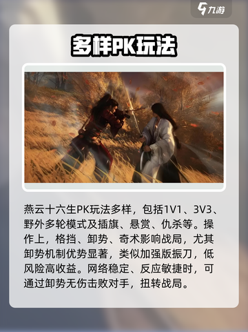 燕云十六声🔥野外PK全攻略，轻松制胜秘籍！截图2