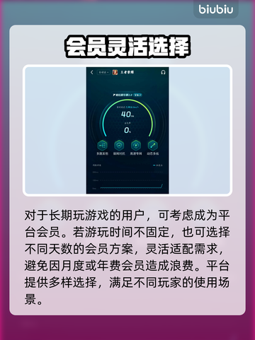 🎮王者荣耀不掉帧秘籍！13 Pro Max玩家必看加速器推荐截图5