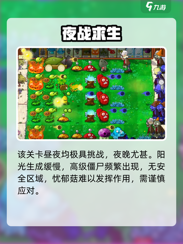 🔥植物大战僵尸生存模式通关秘籍！🎮截图4