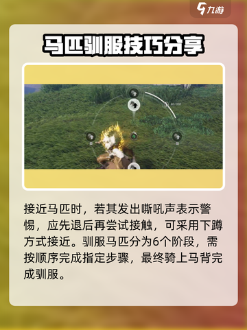 燕云十六声秦马如何抓捕介绍截图3