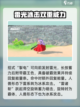 航海王热血航线大和🔥技能玩法全揭秘！截图4