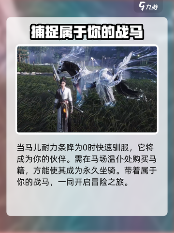 燕云十六声🔥抓马攻略：快速捕捉马匹💎截图7