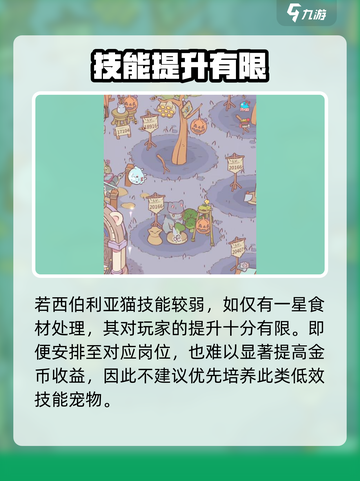 🎮《猫咪和汤》西伯利亚猫养成攻略大揭秘！截图3