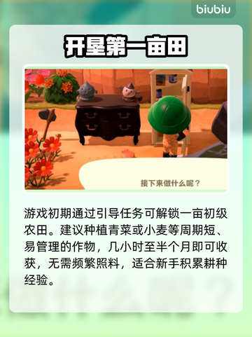 【星布谷地】种出金库💰暴富攻略截图2