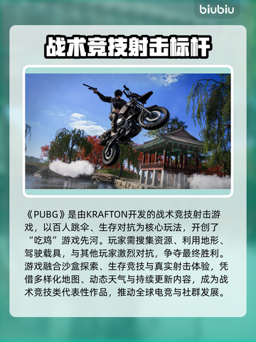 🔥PUBG掉帧救星！秒变流畅吃鸡💥🎮截图2