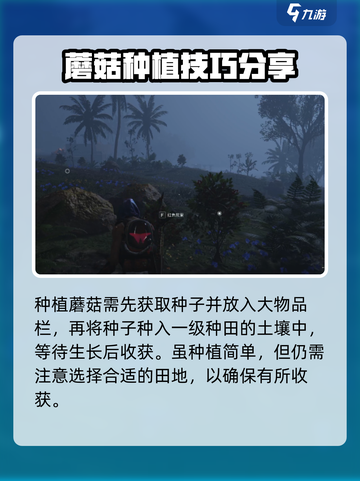 七日世界手游怎么种蘑菇介绍截图3