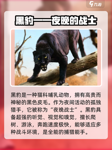 野兽领主新世界黑豹怎么样介绍截图3
